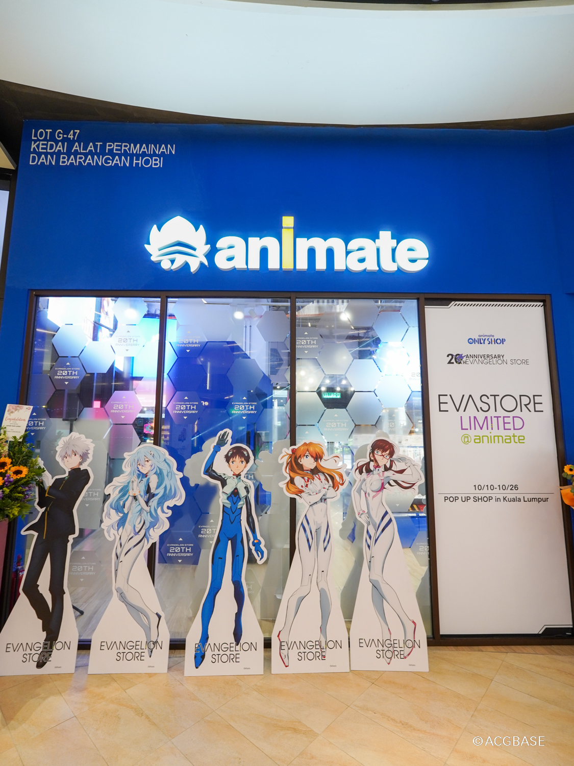 animate the only shop.jpg