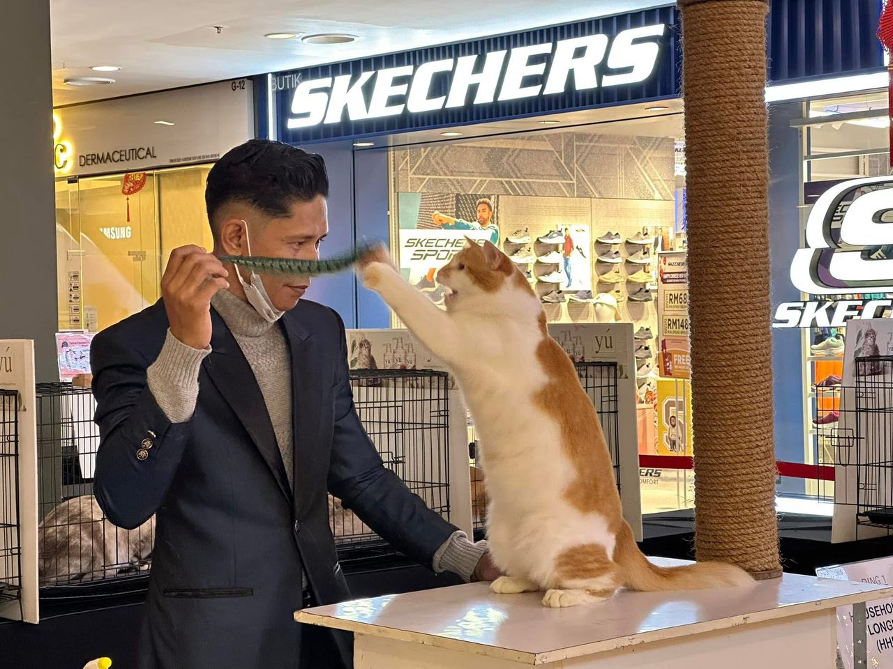 WhatsApp Image 2026-01-05 at 4.40.27 PM (1).jpeg