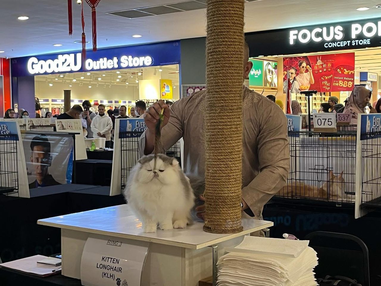 WhatsApp Image 2026-01-05 at 4.40.29 PM.jpeg