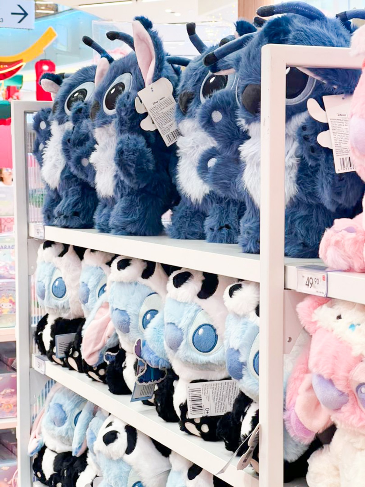 WhatsApp Image 2026-01-23 at 6.50.36 PM.jpg