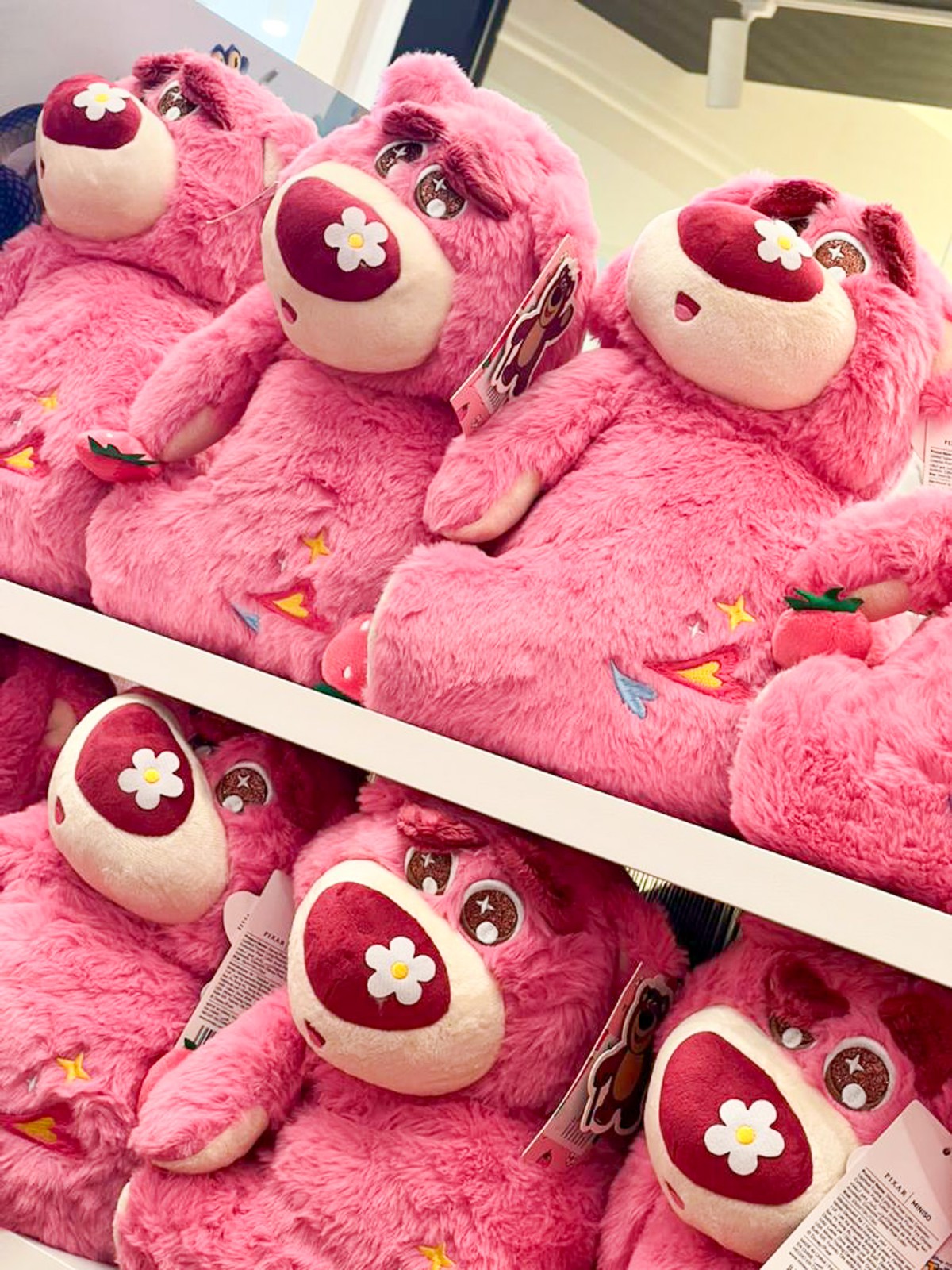 WhatsApp Image 2026-01-23 at 6.50.35 PM.jpg