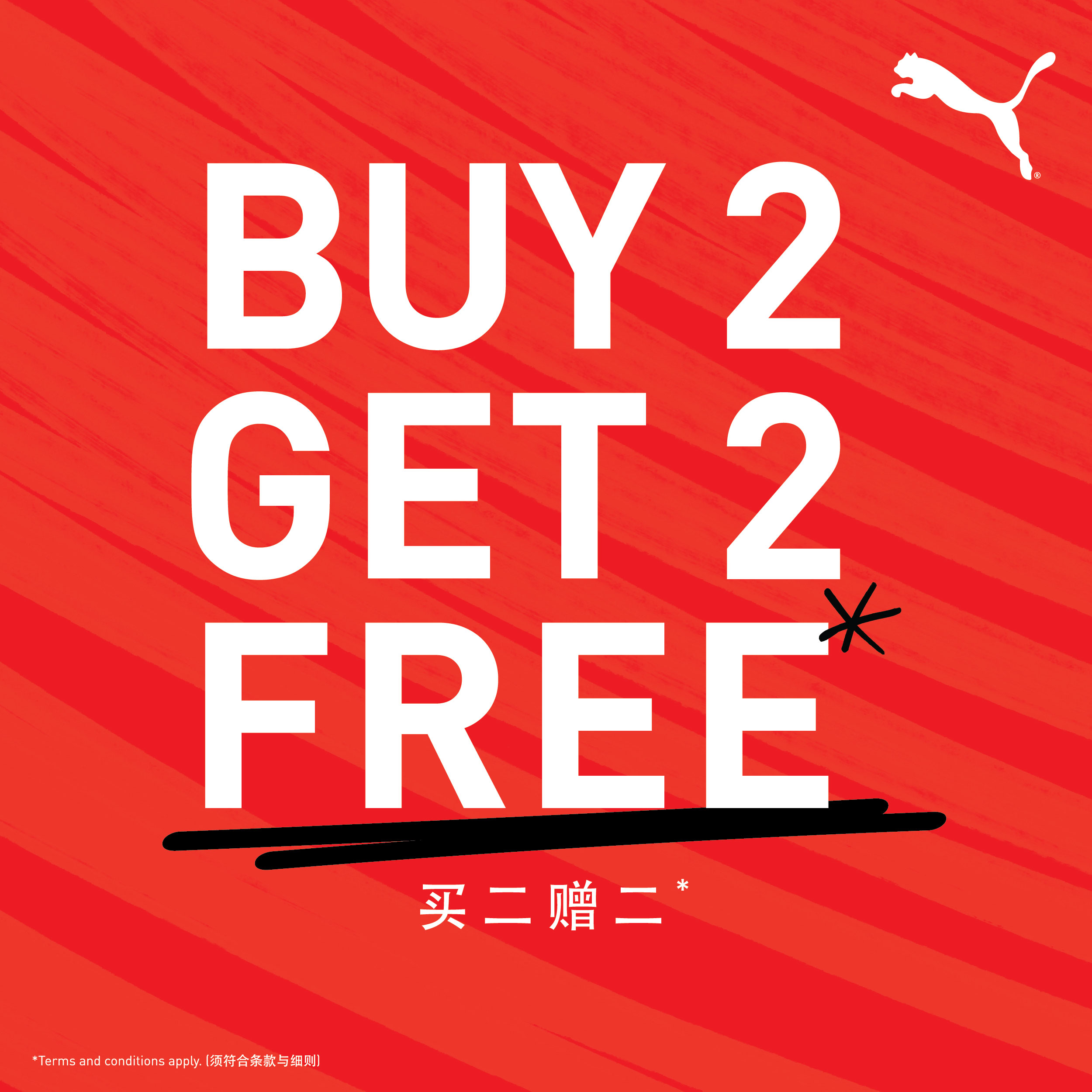 Puma 2.jpg