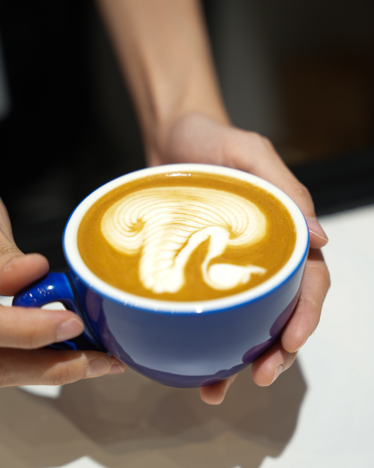 Coffee Fest 2025 (1).jpg